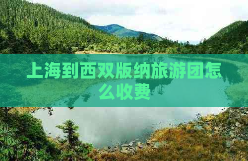 上海到西双版纳旅游团怎么收费