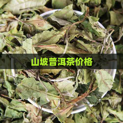 山坡普洱茶价格