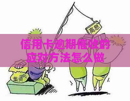 信用卡逾期的应对方法怎么做