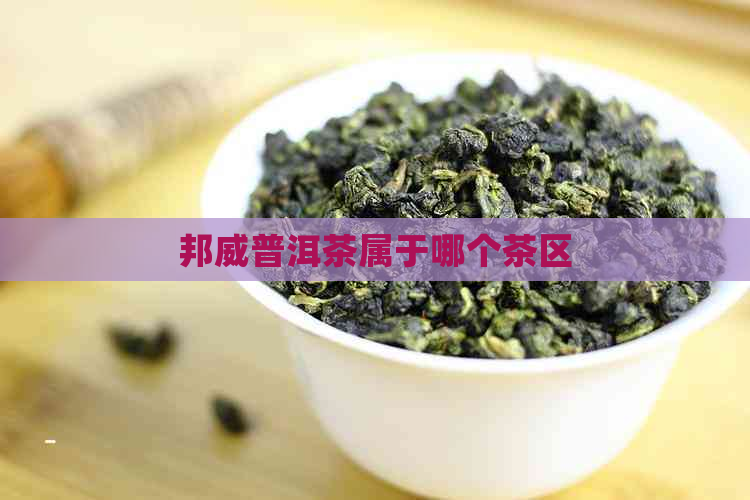 邦威普洱茶属于哪个茶区