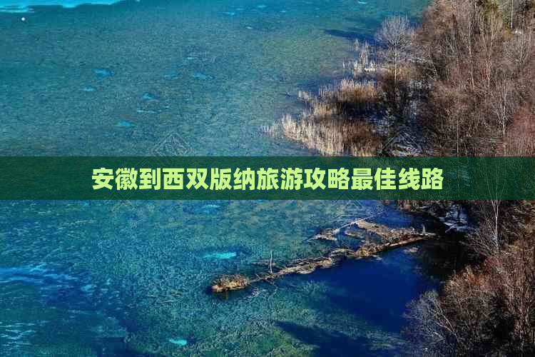 安徽到西双版纳旅游攻略更佳线路