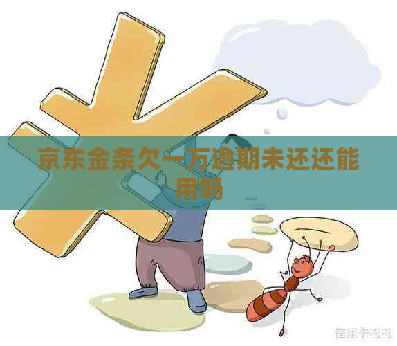 京东金条欠一万逾期未还还能用吗