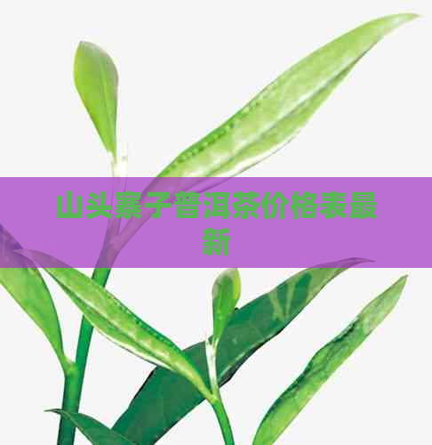 山头寨子普洱茶价格表最新