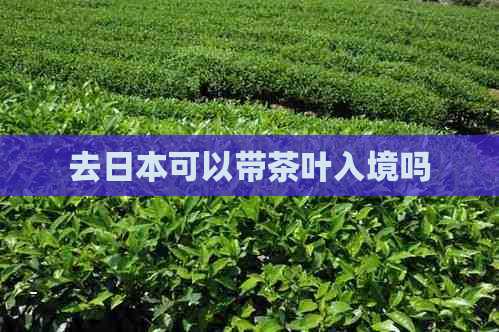 去可以带茶叶入境吗