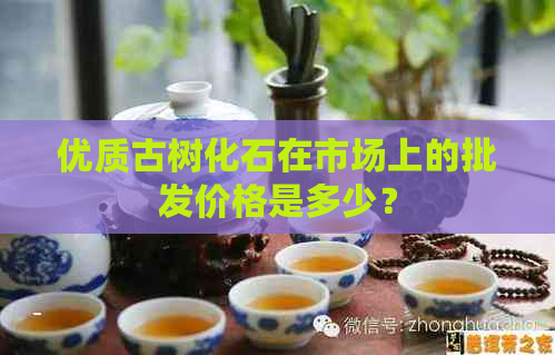 优质古树化石在市场上的批发价格是多少？