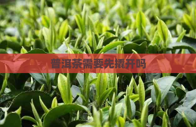 普洱茶需要先撬开吗