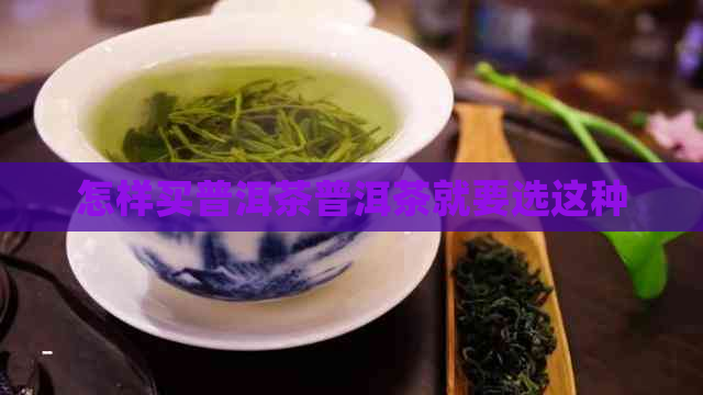 怎样买普洱茶普洱茶就要选这种