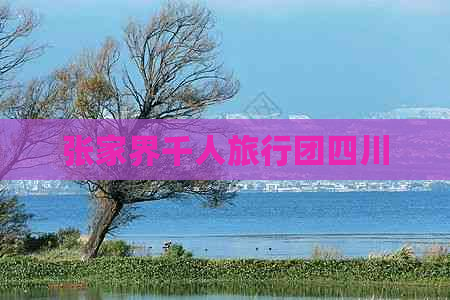 张家界千人旅行团四川