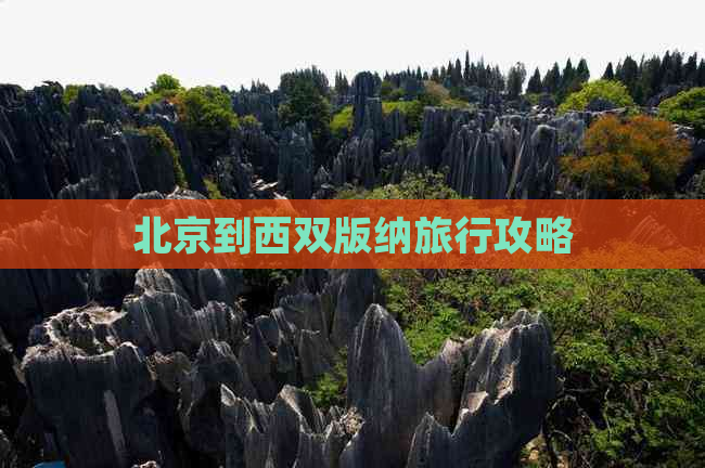 北京到西双版纳旅行攻略