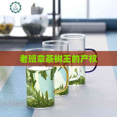 老班章茶树王的产权