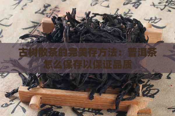 古树散茶的完美存方法：普洱茶怎么保存以保证品质