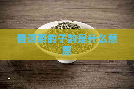 普洱茶的子韵是什么意思