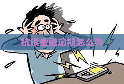 杭银金融逾期怎么办