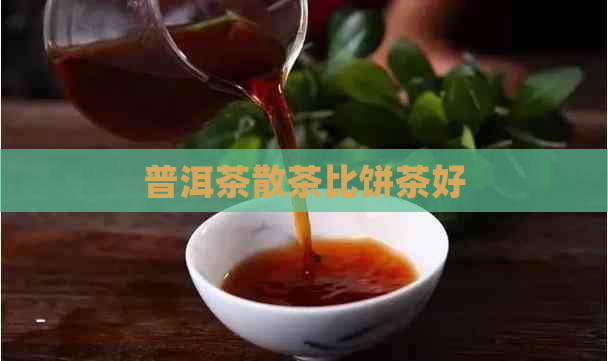 普洱茶散茶比饼茶好