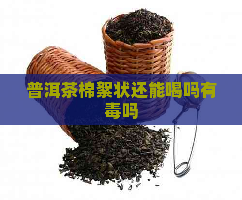 普洱茶棉絮状还能喝吗有吗