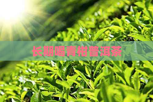 长期喝青柑普洱茶