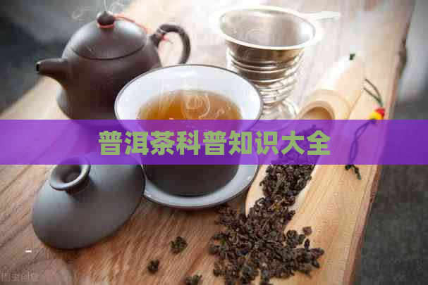 普洱茶科普知识大全