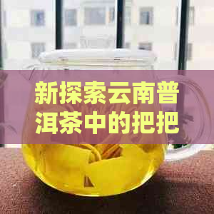 新探索云南普洱茶中的把把茶：一类独特的云南特色茶品