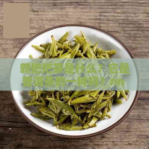 新把把茶是什么？它是普洱茶的一种吗？nn 