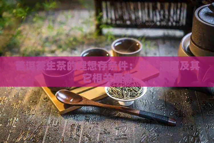 普洱茶生茶的理想存条件：度，湿度及其它相关因素