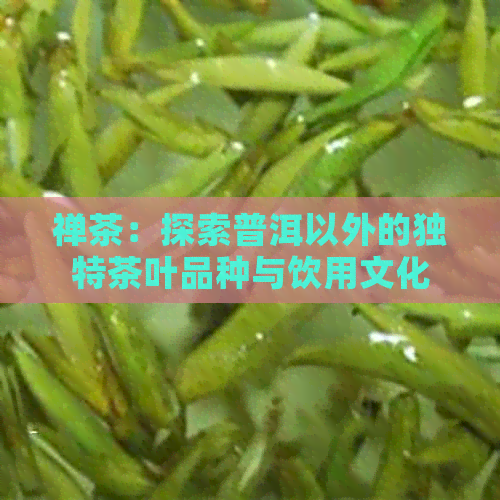 禅茶：探索普洱以外的独特茶叶品种与饮用文化