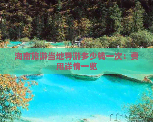 海南旅游当地导游多少钱一次：费用详情一览