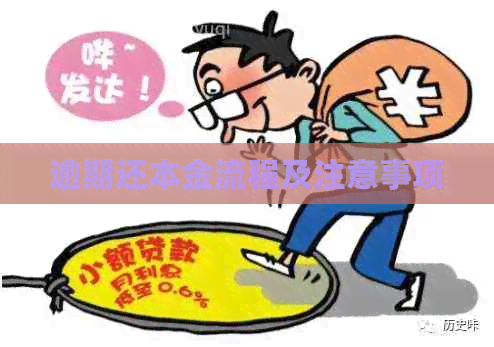 逾期还本金流程及注意事项