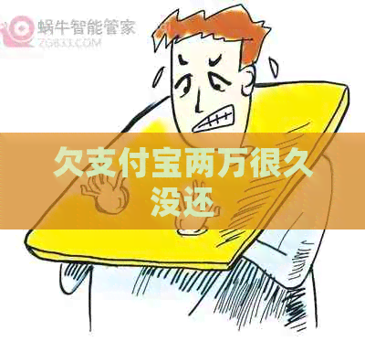 欠支付宝两万很久没还