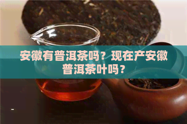 安徽有普洱茶吗？现在产安徽普洱茶叶吗？