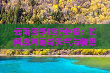 云南冬季旅行必备：如何应对寒冷天气与特色活动