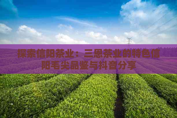 探索信阳茶业：三恩茶业的特色信阳毛尖品鉴与抖音分享