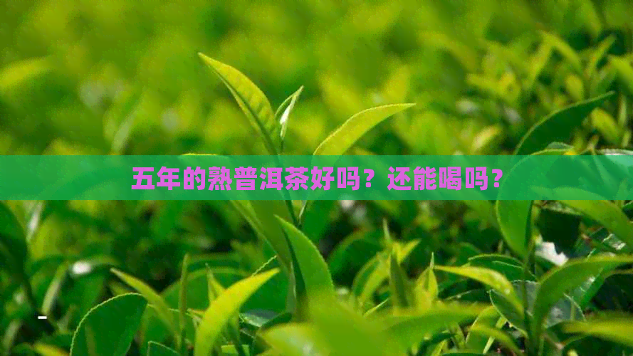 五年的熟普洱茶好吗？还能喝吗？