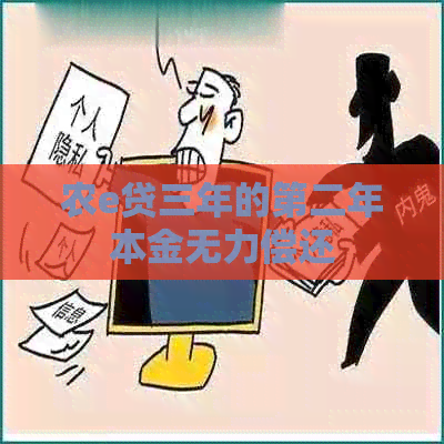 农e贷三年的第二年本金无力偿还