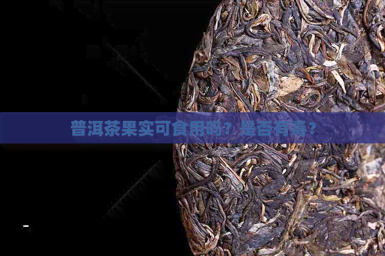 普洱茶果实可食用吗？是否有？