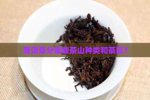 普洱茶分哪些茶山种类和茶区？