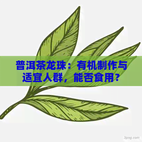 普洱茶龙珠：有机制作与适宜人群，能否食用？