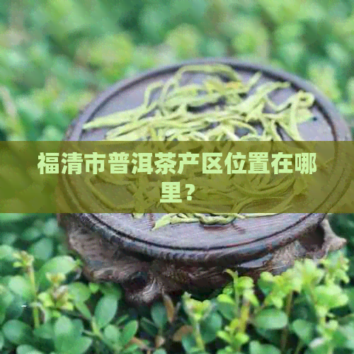 福清市普洱茶产区位置在哪里？