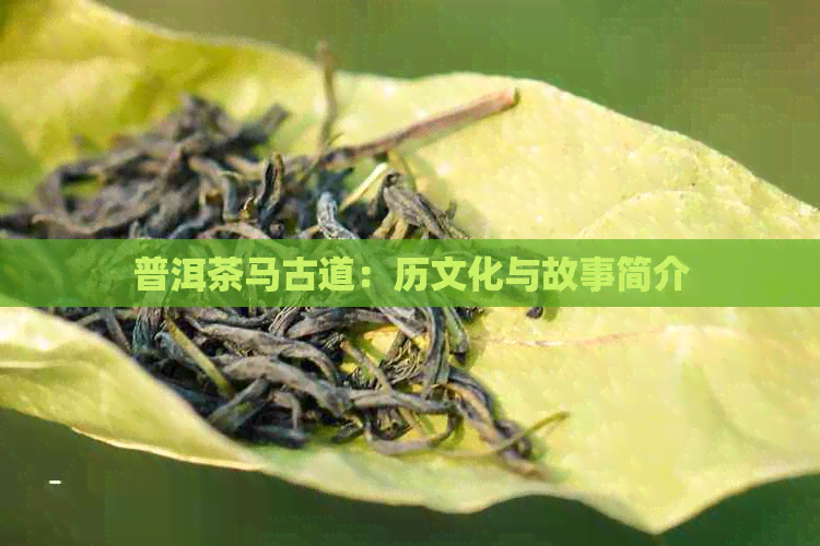 普洱茶马古道：历文化与故事简介