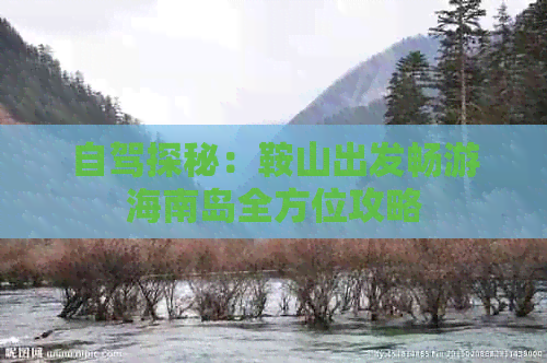 自驾探秘：鞍山出发畅游海南岛全方位攻略