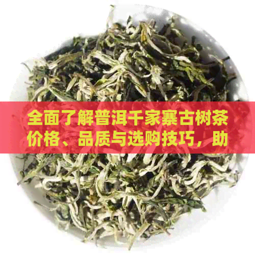 全面了解普洱千家寨古树茶价格、品质与选购技巧，助您轻松成为茶叶专家