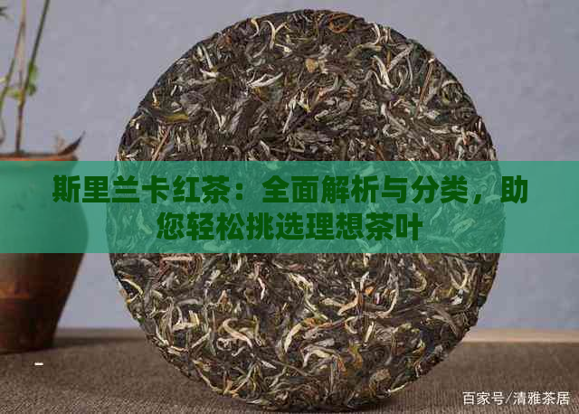 斯里兰卡红茶：全面解析与分类，助您轻松挑选理想茶叶