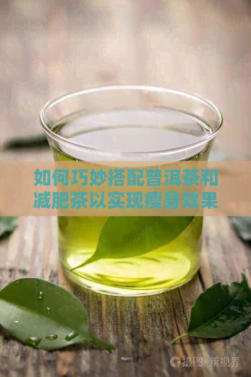 如何巧妙搭配普洱茶和减肥茶以实现瘦身效果？