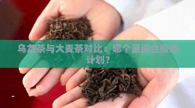 乌龙茶与大麦茶对比：哪个更适合瘦身计划？