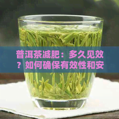 普洱茶减肥：多久见效？如何确保有效性和安全性？全面指南助您了解