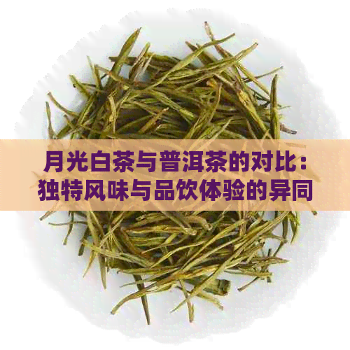 月光白茶与普洱茶的对比：独特风味与品饮体验的异同