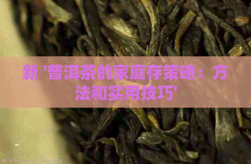 新 '普洱茶的家庭存策略：方法和实用技巧'