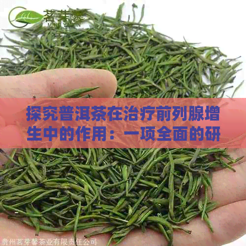 探究普洱茶在治疗前列腺增生中的作用：一项全面的研究分析