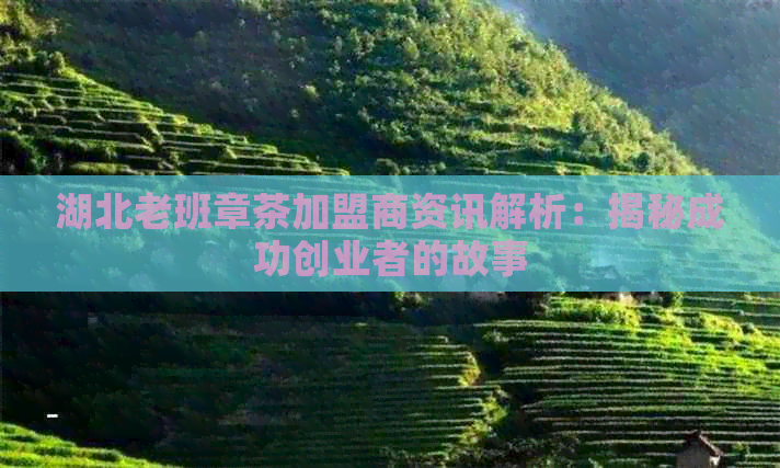 湖北老班章茶加盟商资讯解析：揭秘成功创业者的故事