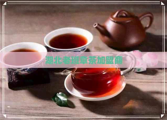 湖北老班章茶加盟商