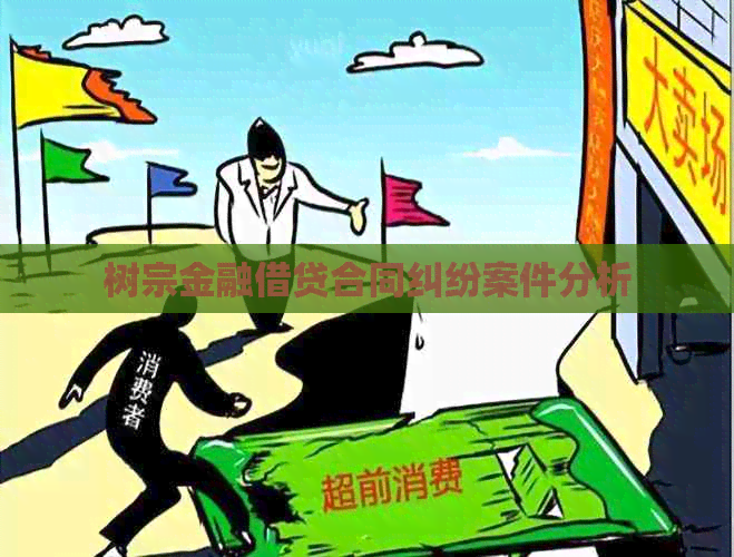 树宗金融借贷合同纠纷案件分析